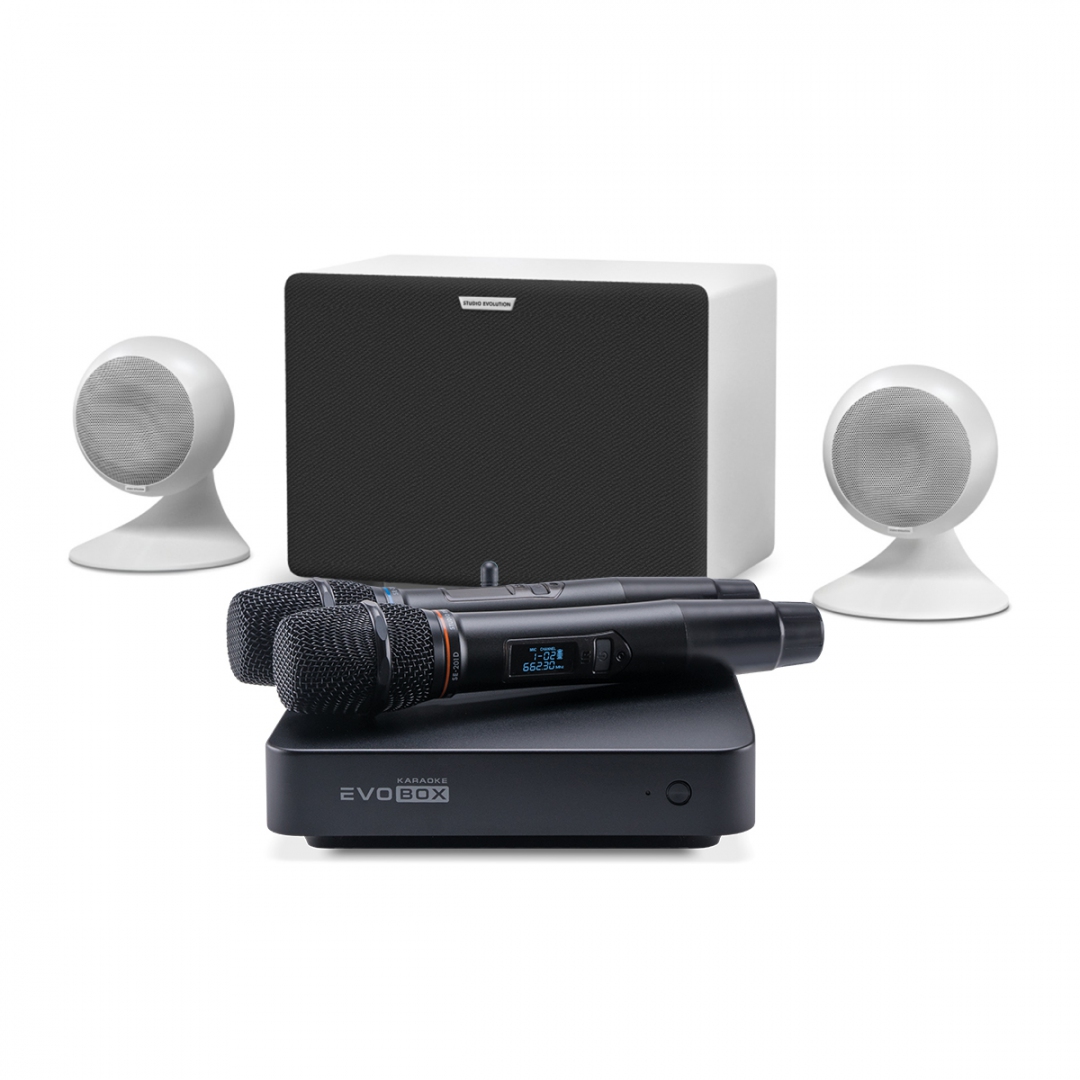 караоке-комплект EVOBOX Classic + EvoSound Sphere 2.1 в Туймазах