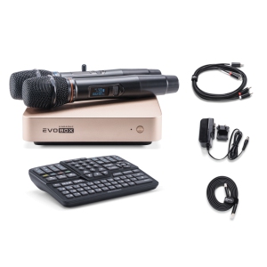EVOBOX Classic караоке-система для дома в Туймазах